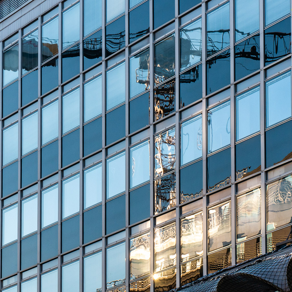 In‘s Licht gerückt