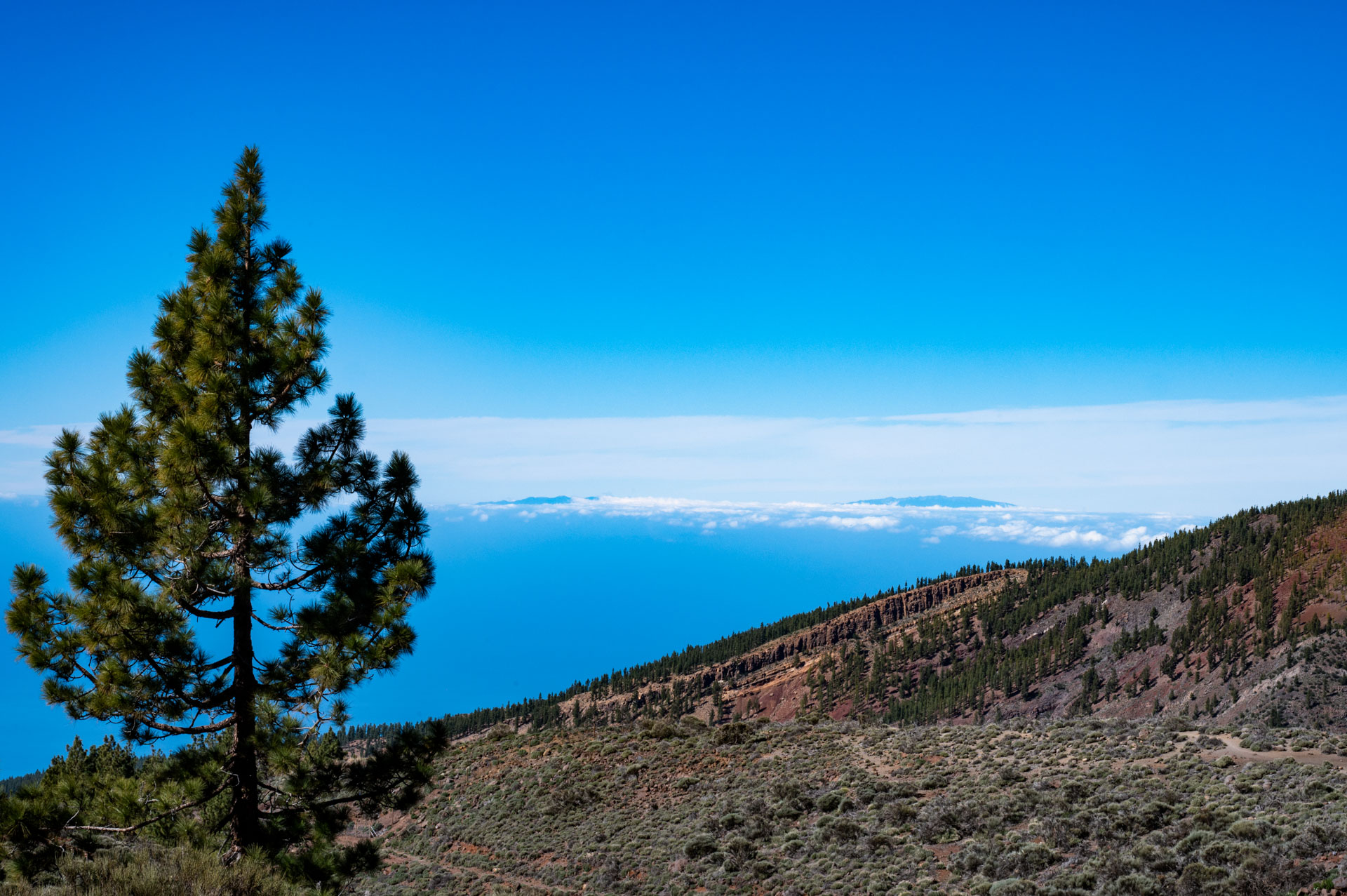 Teide